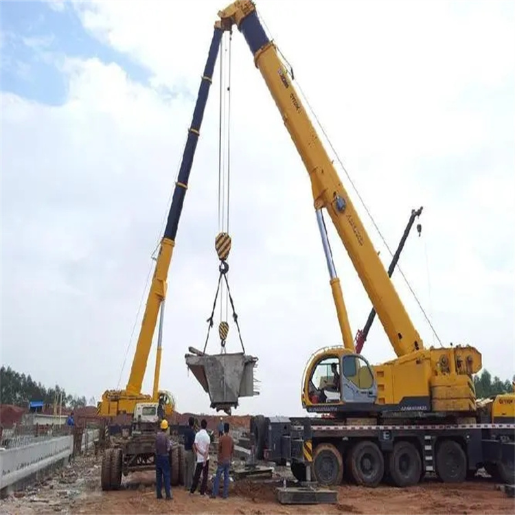 畜禽良种场小型吊机出租电话|厂房设备吊装方案|24小时服务覆盖