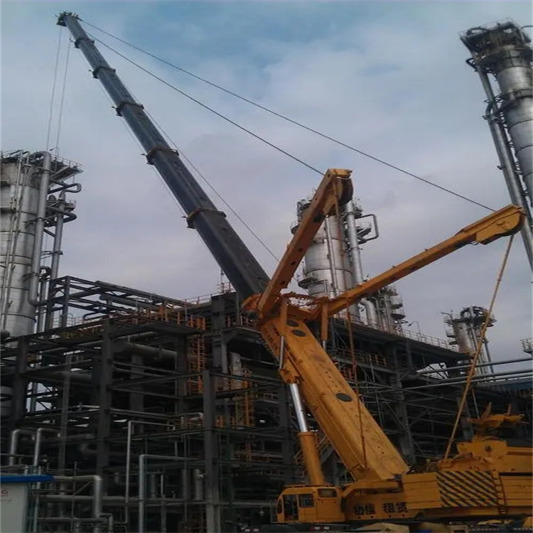 畜禽良种场吊板房的吊车